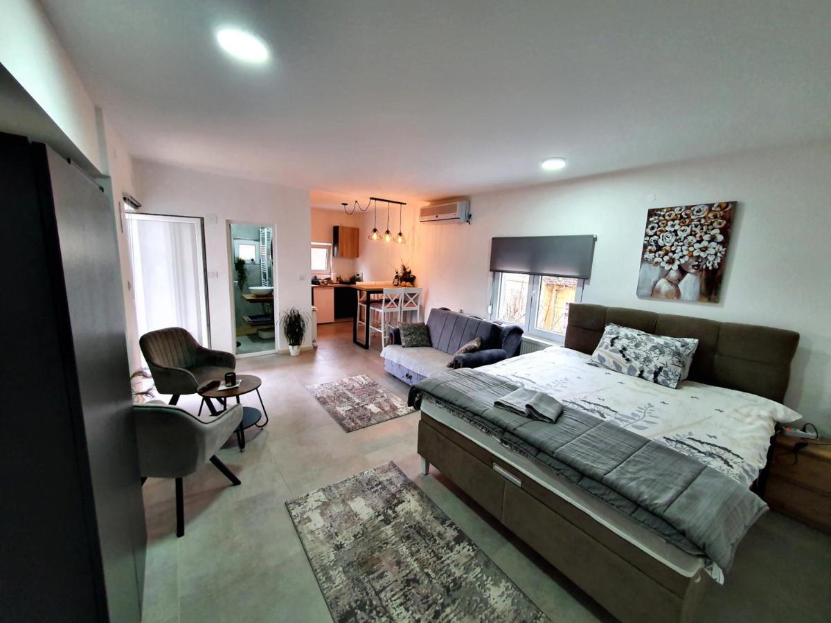 Luxor Apartmani 2 Vrnjačka Banja エクステリア 写真