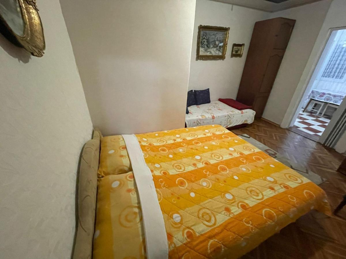 Luxor Apartmani 2 Vrnjačka Banja 部屋 写真
