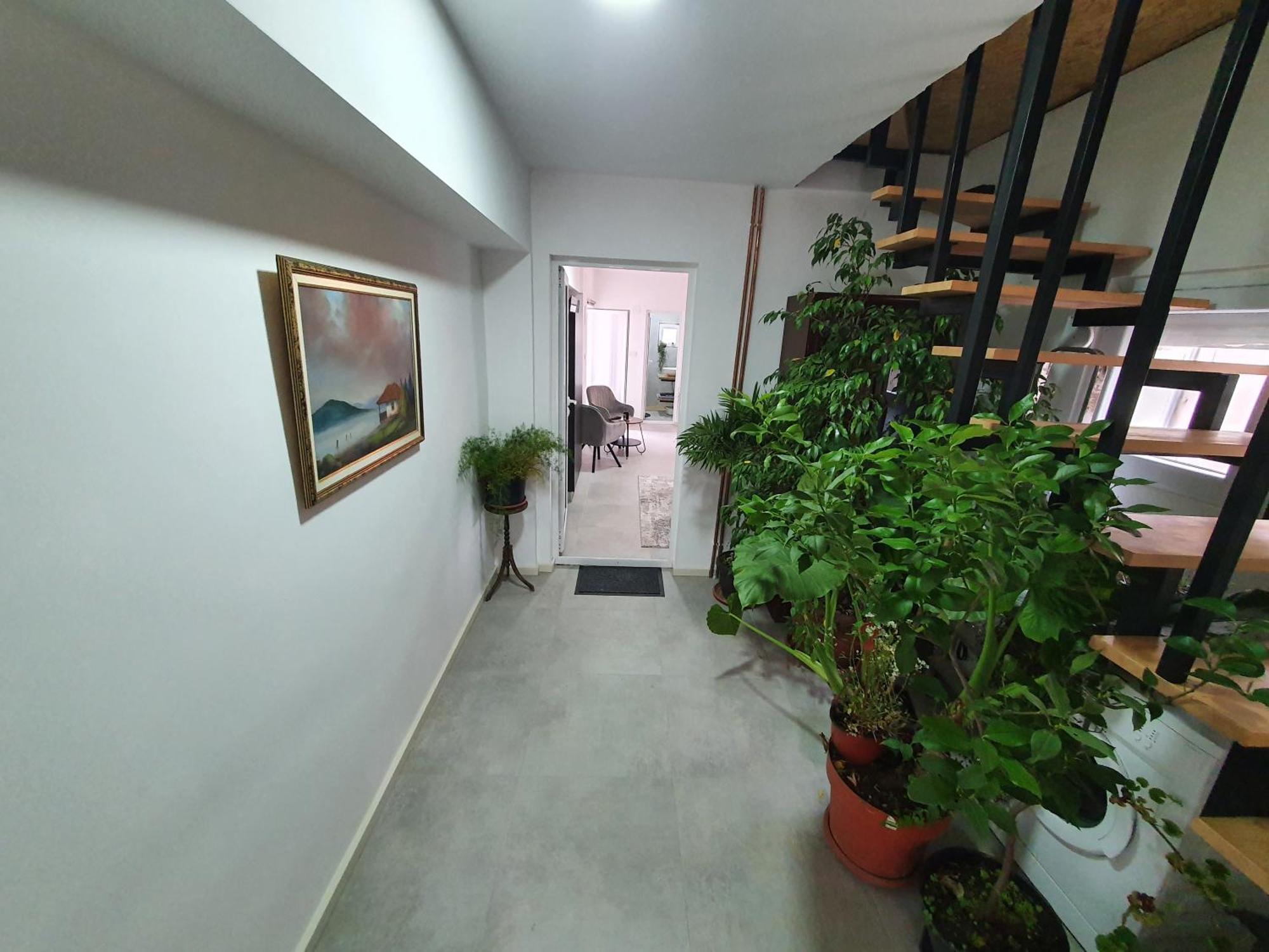 Luxor Apartmani 2 Vrnjačka Banja 部屋 写真